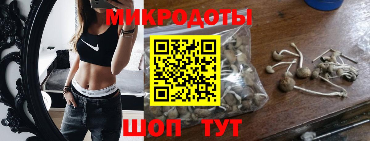 Псилоцибиновые грибы мицелий Зерноград