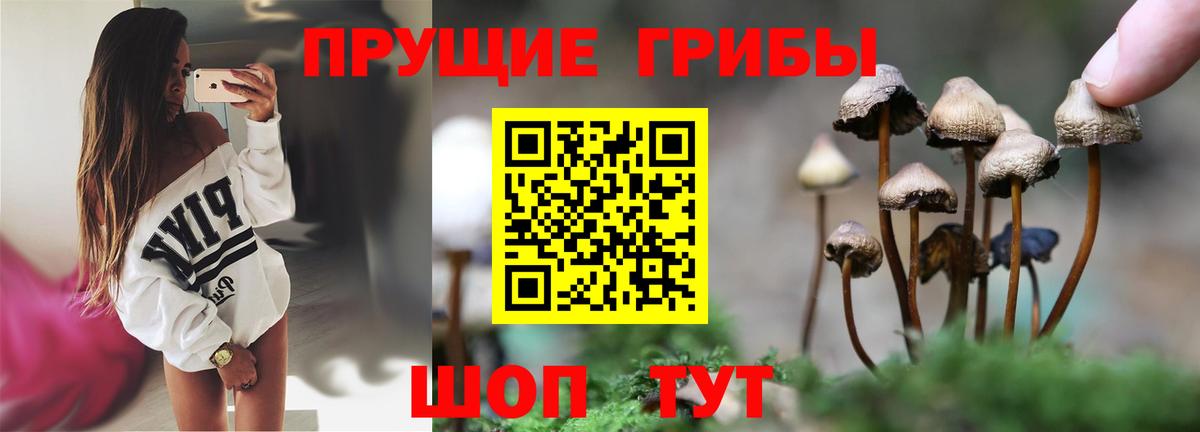 Галлюциногенные грибы Psilocybe  Галлюциногенные грибы Magic Shrooms  Зерноград  Вход с VPN 