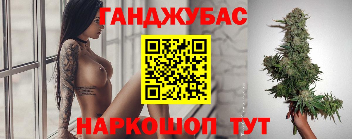 Конопля гибрид Зерноград
